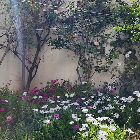 Duplex Bien Equipe Securise Avec Jardin Et Veranda La Marsa Esterno foto