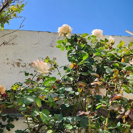 Duplex Bien Equipe Securise Avec Jardin Et Veranda La Marsa Esterno foto