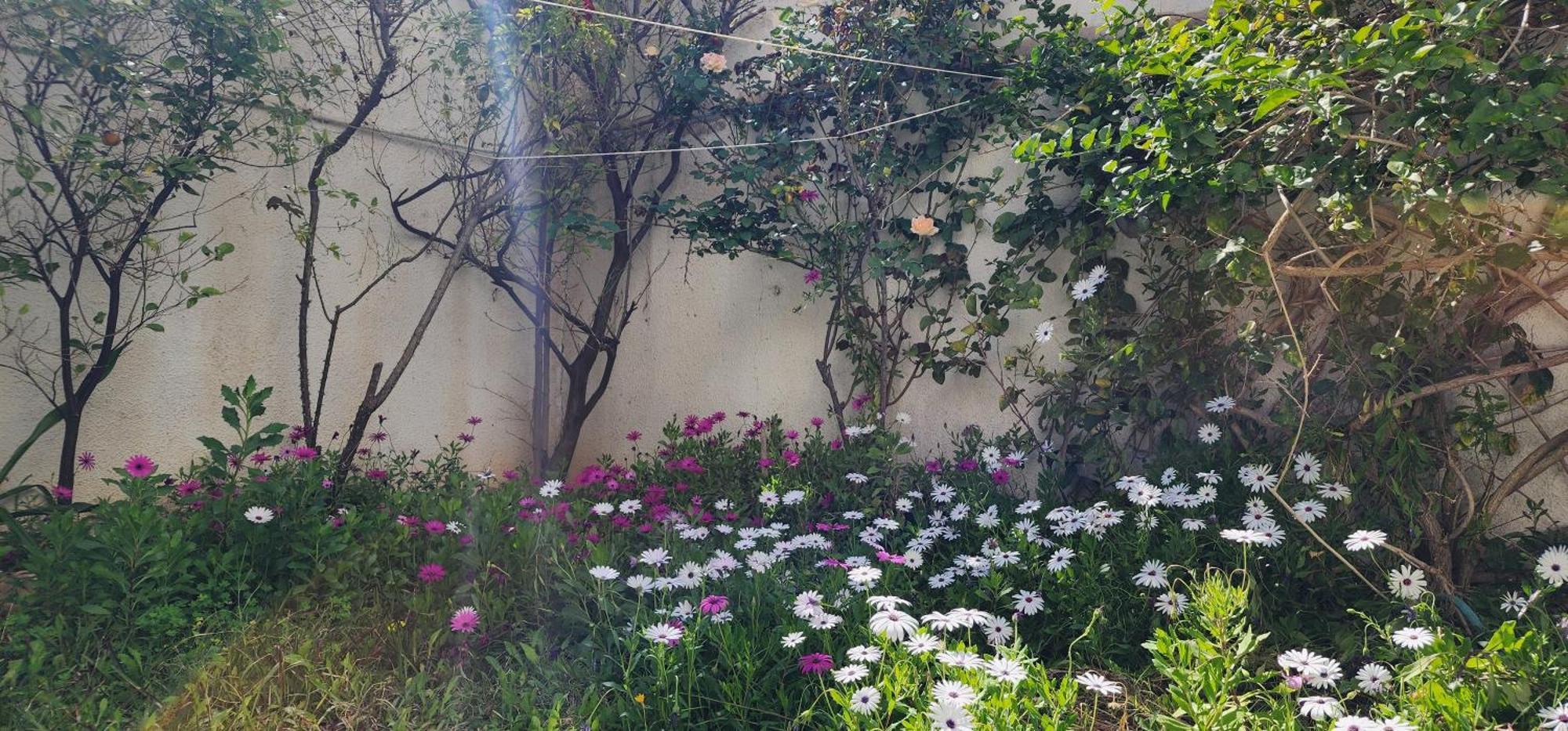 Duplex Bien Equipe Securise Avec Jardin Et Veranda La Marsa Esterno foto