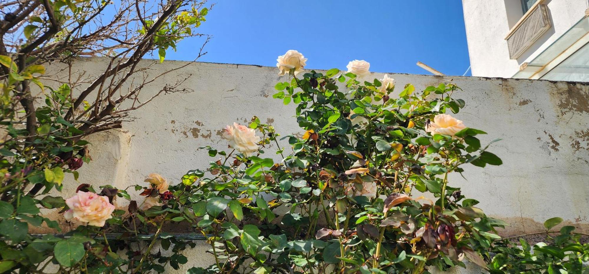 Duplex Bien Equipe Securise Avec Jardin Et Veranda La Marsa Esterno foto