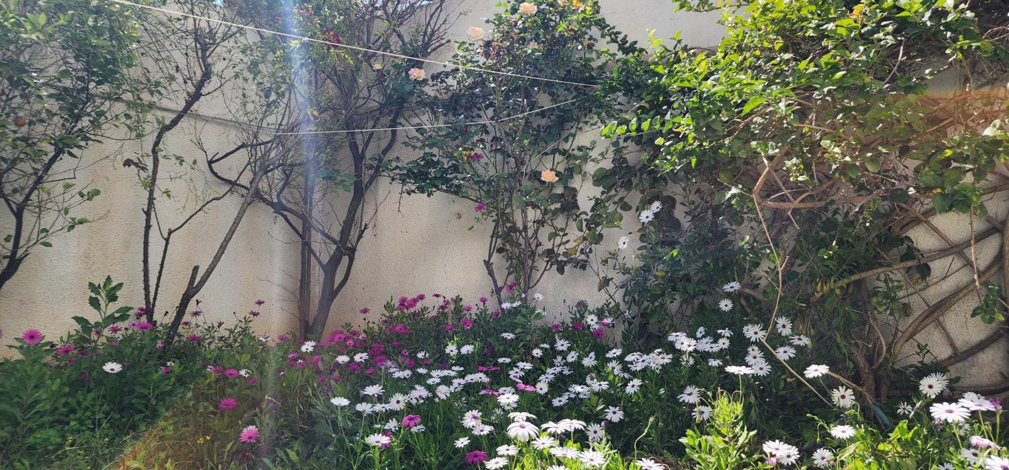 Duplex Bien Equipe Securise Avec Jardin Et Veranda La Marsa Esterno foto