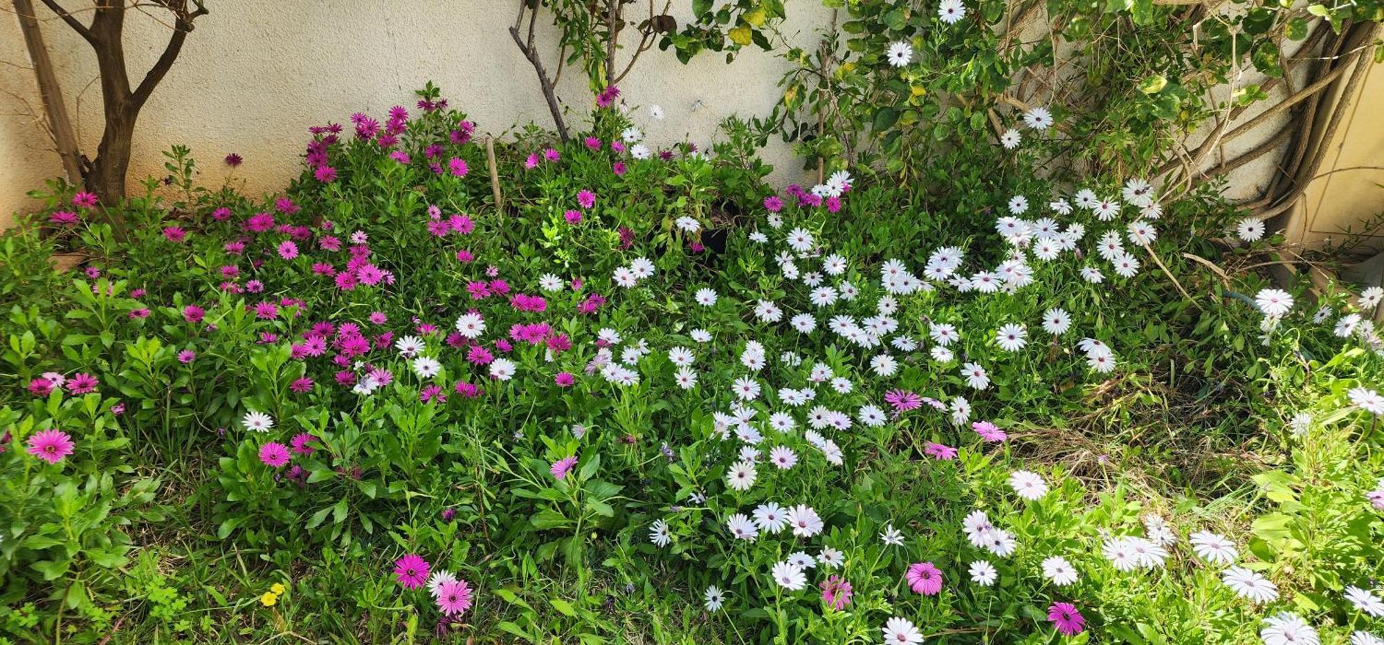 Duplex Bien Equipe Securise Avec Jardin Et Veranda La Marsa Esterno foto