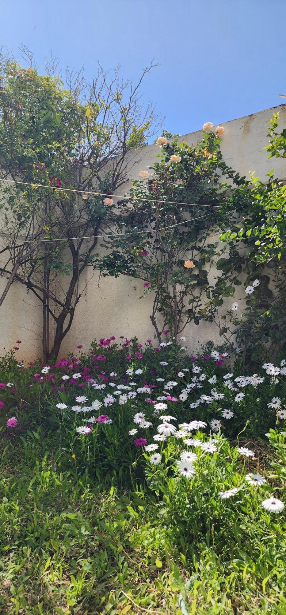 Duplex Bien Equipe Securise Avec Jardin Et Veranda La Marsa Esterno foto